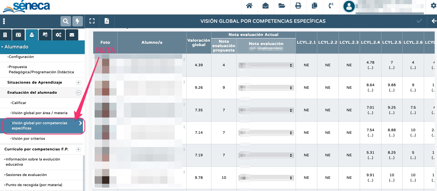 Visión global por competencias